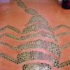 Close up of stone inlay scorpion floor design